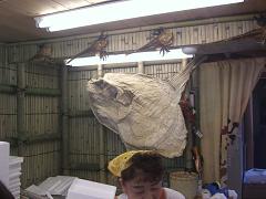 食べられるのかな…