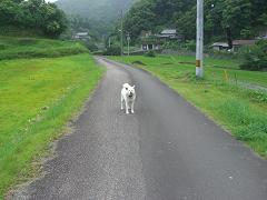 Rł̌ɖi܂A300炢ǂ|񂳂ꂽIƍłȂǂĂ`I`