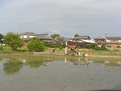 みなさん、お疲れ様でした〜!また収穫の時期に、僕もきっとお手伝いに来ますよ〜(^0^)/