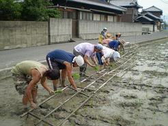 この姿勢でずっと作業するのは、確かに大変だ〜。(~.~;)