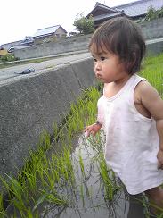 にこちゃん、とにかくかわいい☆いいアングルで撮れたな♪(^^)v