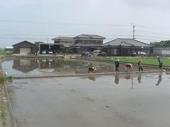 この2面で田植えが完了だ。がんばるぞー!