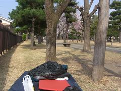 松本城の横でぐっすり